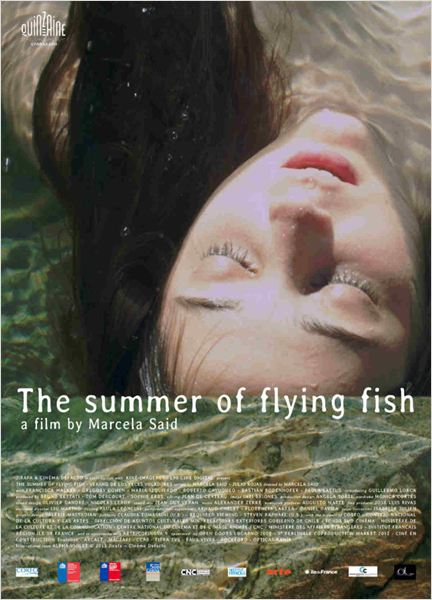 El Verano de los Peces Voladores  (2013)