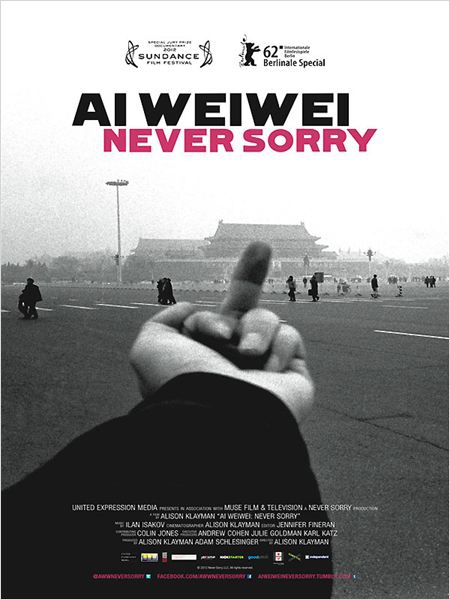 Ai Weiwei: Never Sorry  (2011)