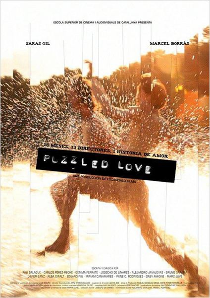 Puzzled Love  (2011)