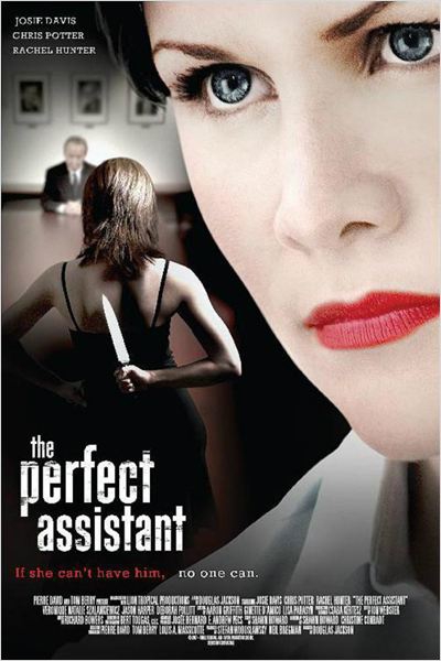 La ayudante perfecta  (2008)