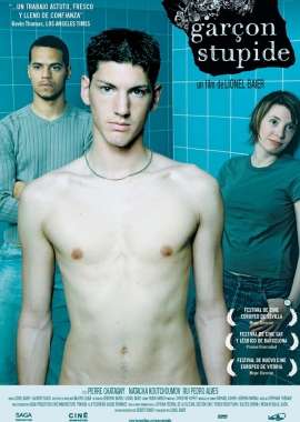Garçon stupide (2007)