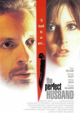 El marido perfecto (2004)