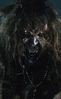 The Stakelander  (2017)