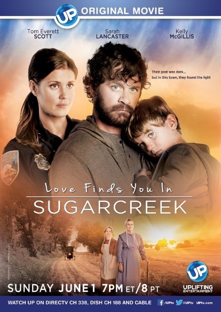 Un Extraño en Sugarcreek (2014)