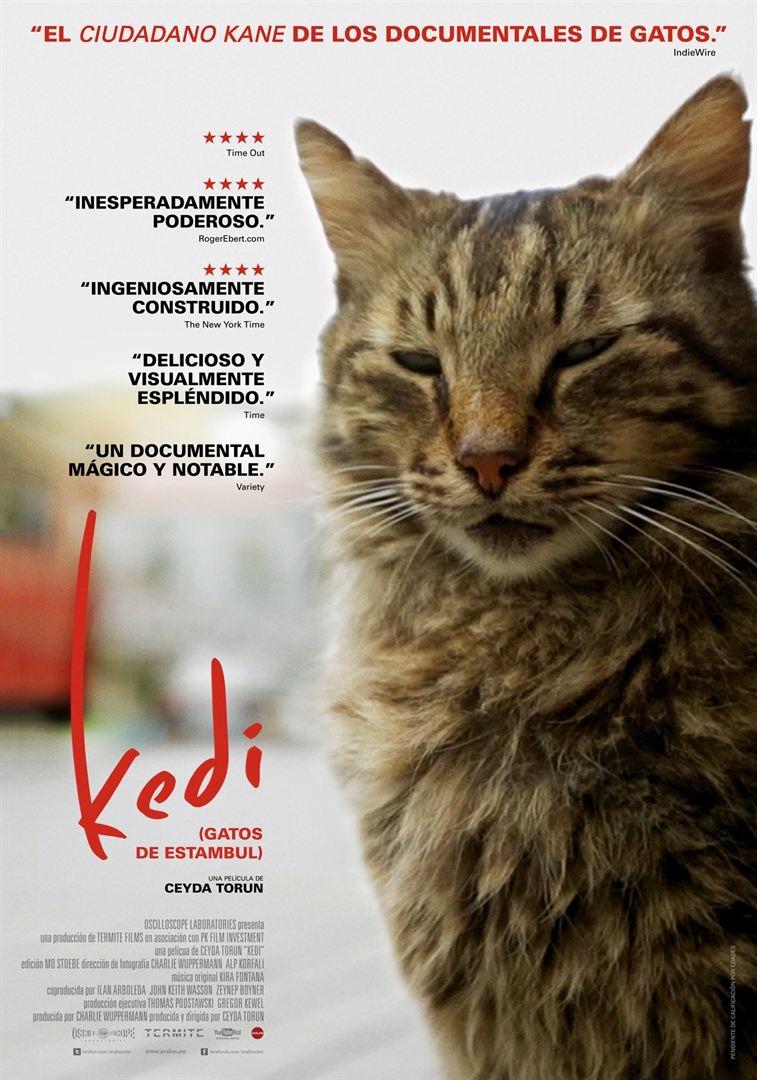 Kedi (Gatos de Estambul) (2016)