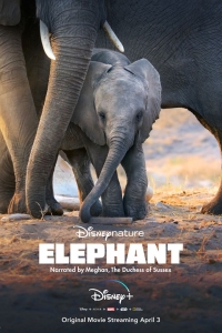 Los elefantes (2020)