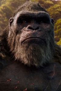 Son of Kong (2024)