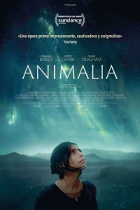 Animalia (2024)